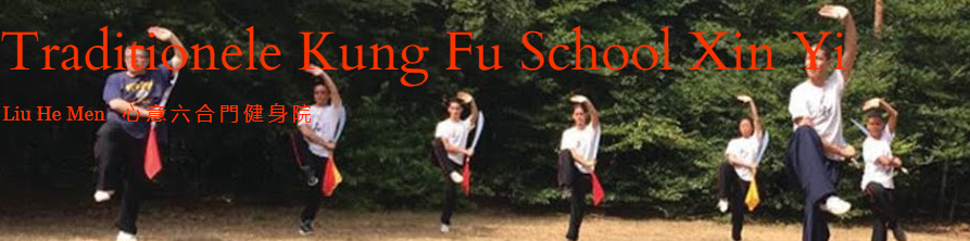 Kung FU XIN YI
