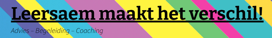 LEERseam