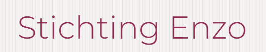 Stichting Enzo